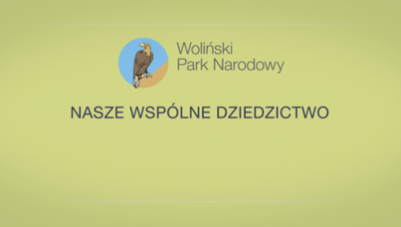 Nasze produkcje