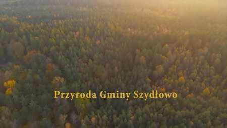 Przyroda Gminy Szydłowo między Rurzycą,  a Łomnicą