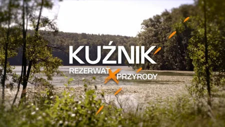 Kuźnik - rezerwat przyrody